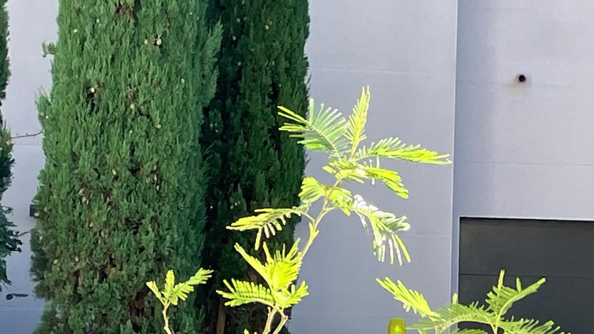 Toulousaine Arboree - Parking Public Toulouse Homestay